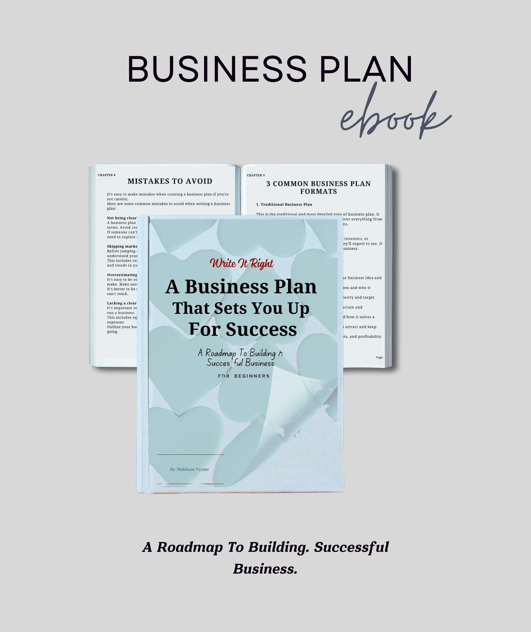 Business plan
